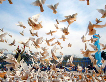 The road ahead: Sustaining peace through decent work
